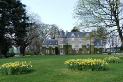 Schivas House dog training area